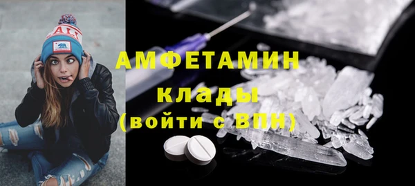 PSILOCYBIN Каменногорск