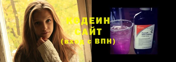молекула духа Каменка