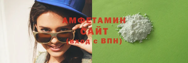 молекула духа Каменка