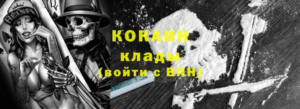 молекула духа Каменка