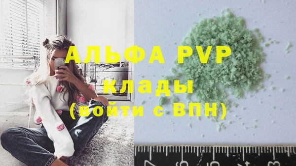молекула духа Каменка
