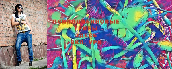 PSILOCYBIN Каменногорск