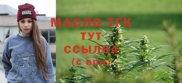молекула духа Каменка