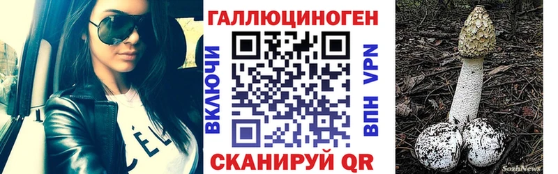 Купить где  Большой Камень  Галлюциногенные грибы прущие грибы 