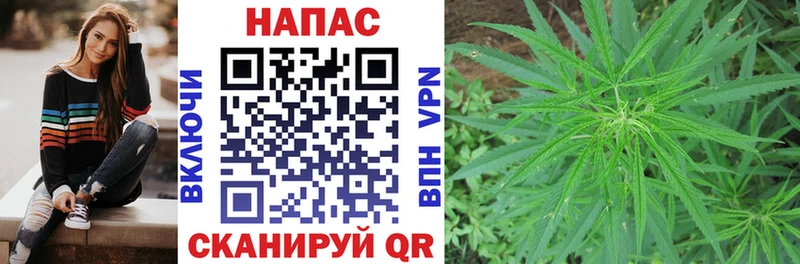 Канабис Amnesia  Купить  Большой Камень 